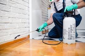 Best Residential Pest Control  in Terry, MS